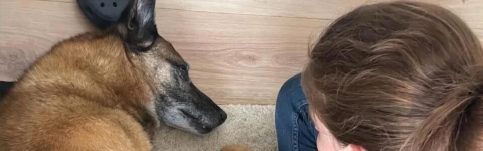 00abb268-81b3-41df-b75a-927f7f3cdab9