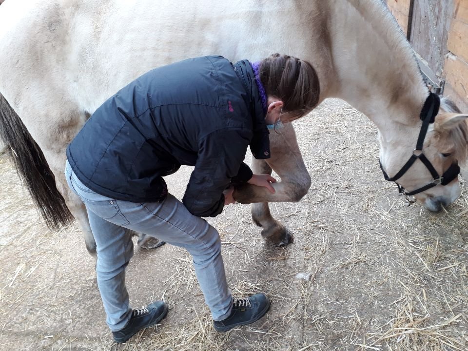 Resized_20201205_105341_3051